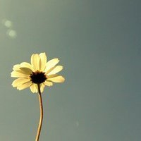 银河未央的头像-爱视听玩学