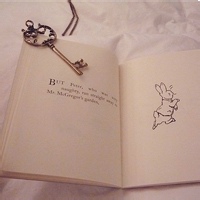 value4的头像-爱视听玩学