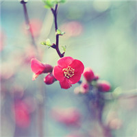 寒江钓翁的头像-爱视听玩学